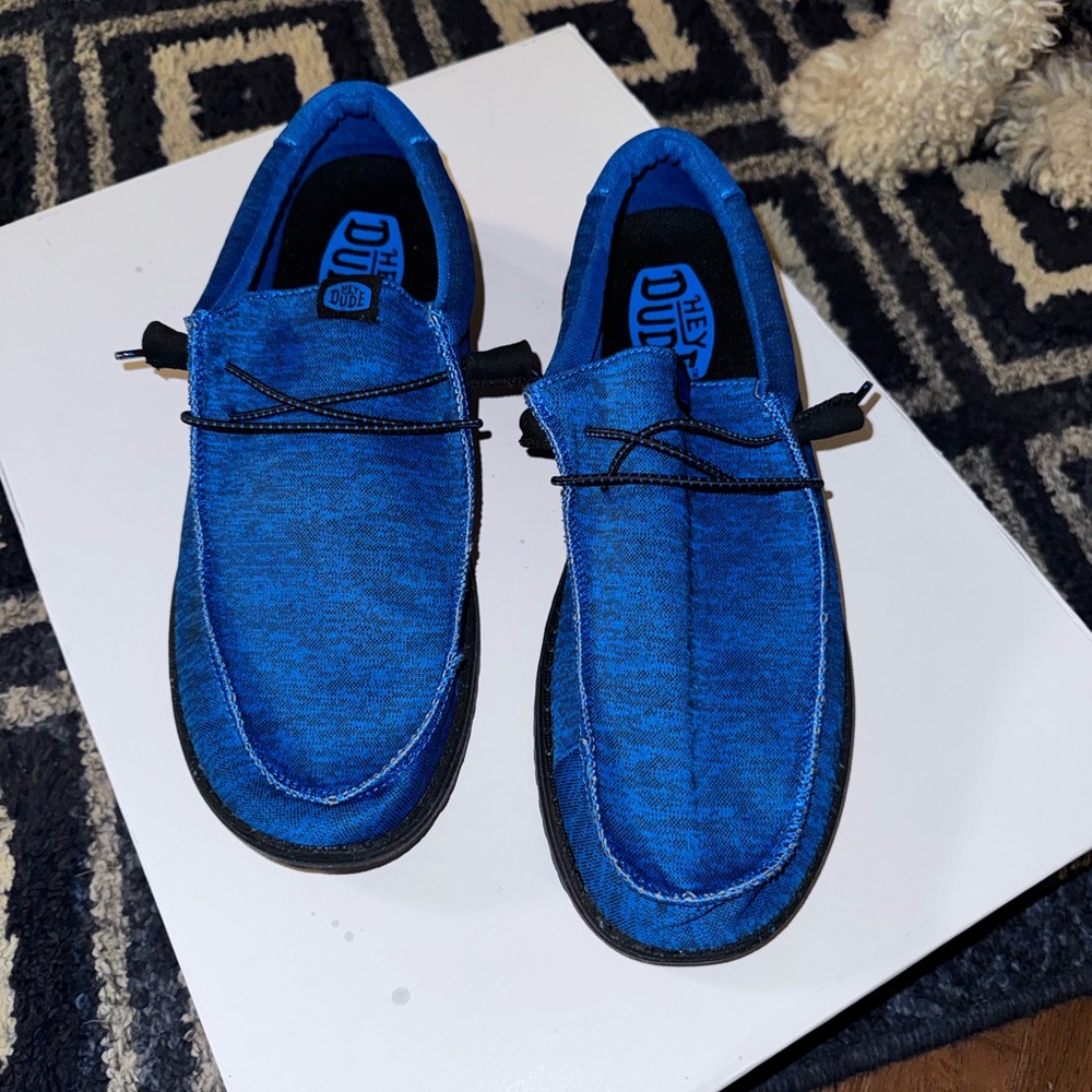 Hey Dude Men's Royal Blue Wally Shoes
